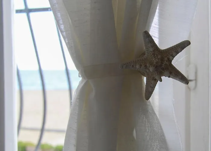 Premuda 3* 스포토르노